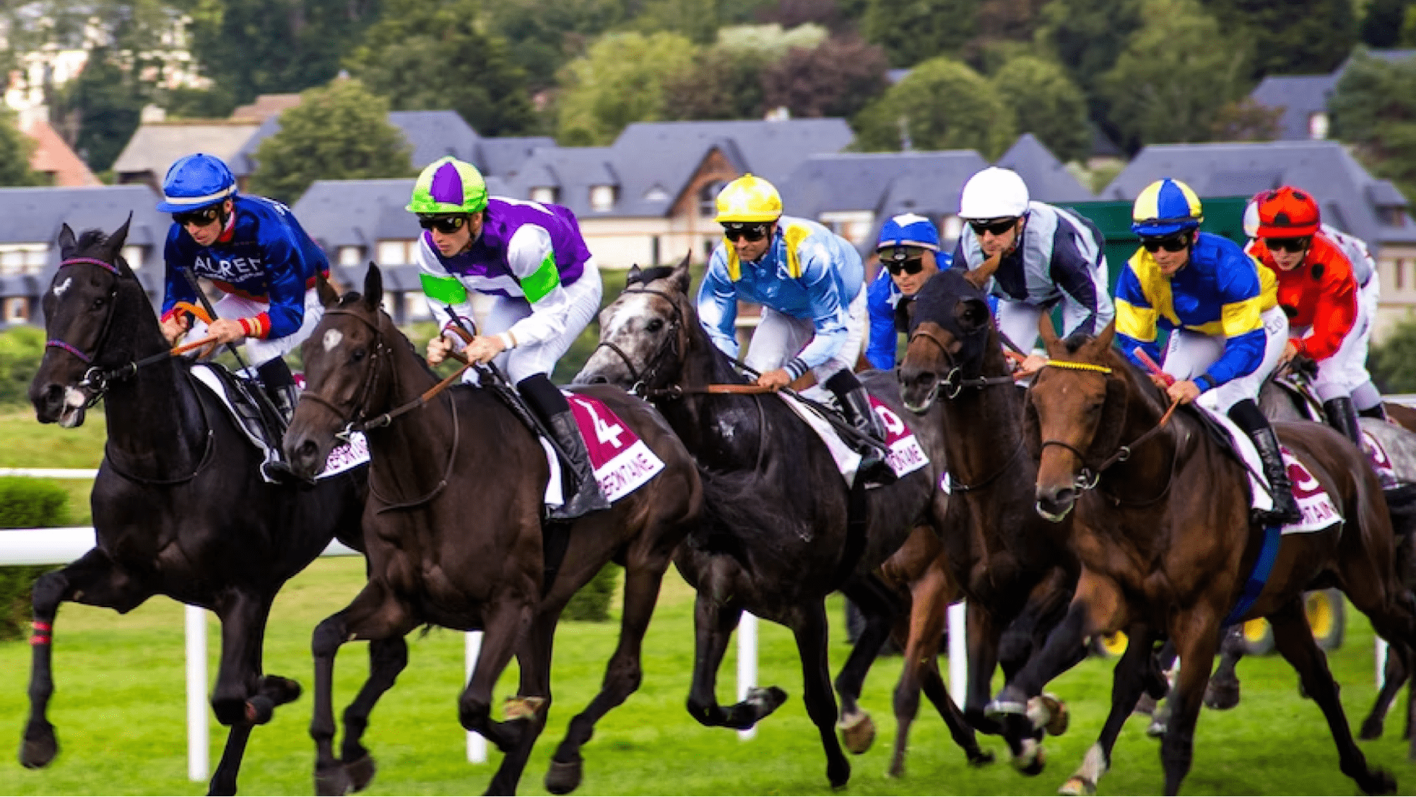 Jockeys race horses on course